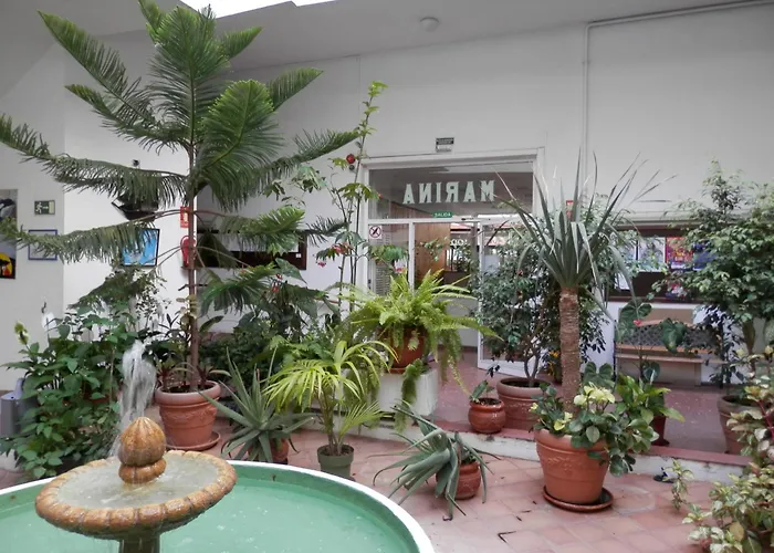 El Balcon De La Marina * Puerto de la Cruz (Tenerife)